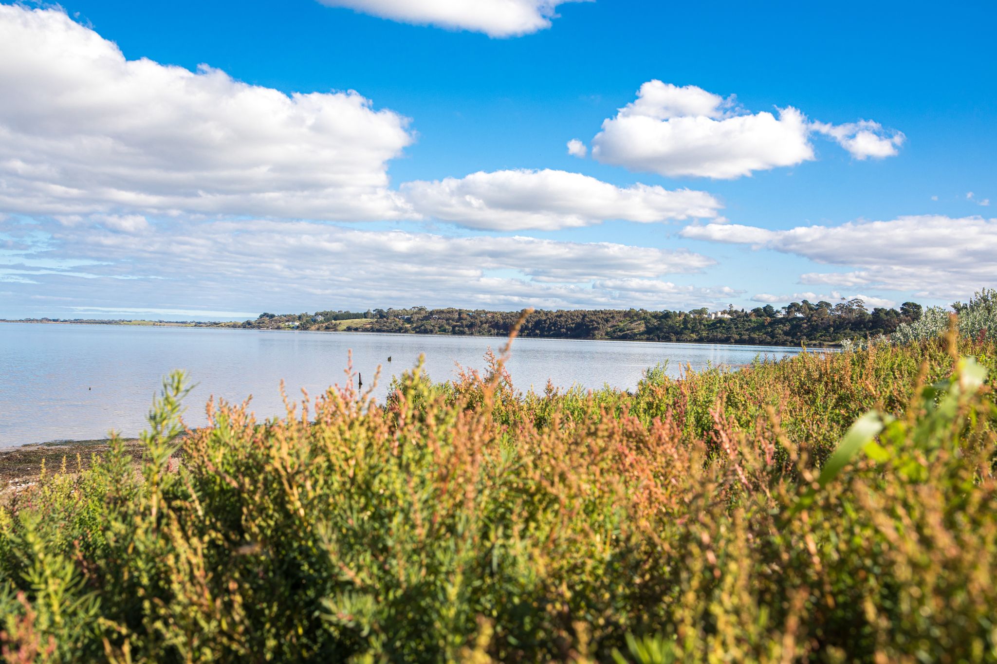 [Land for Sale] Estuary Estate, Leopold OpenLot